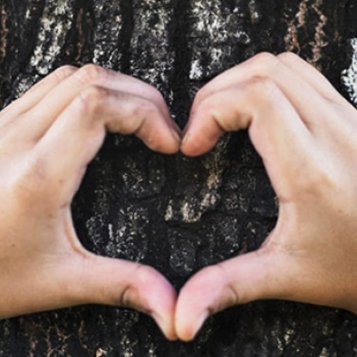 5 tips om je duurzame renovatie betaalbaar te houden