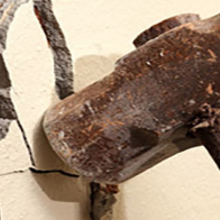 Renovatie kostenraming: renoveer met een realistisch budget!