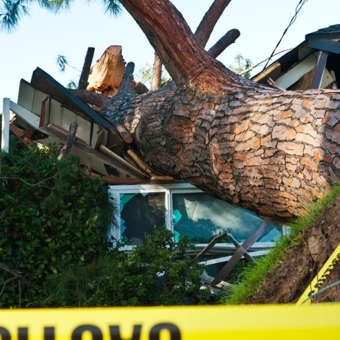 Stormschade? Snel en vakkundig laten herstellen